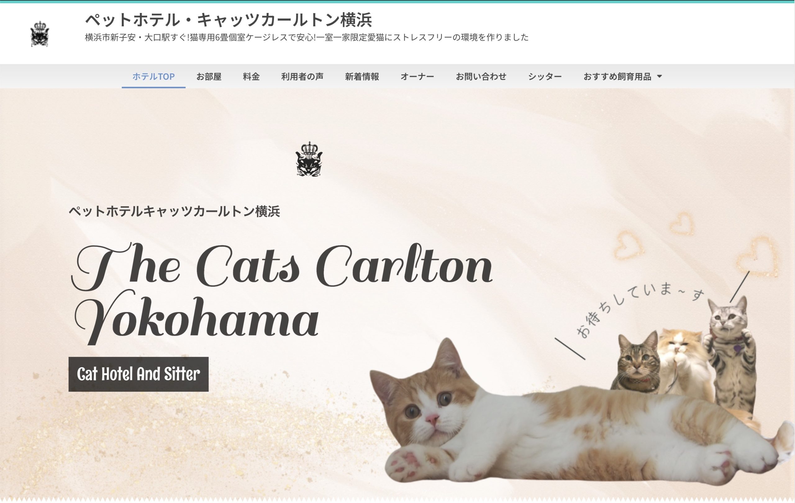 横浜の猫専門ペットホテル｜キャッツカールトン横浜（ケージレス・完全個室）