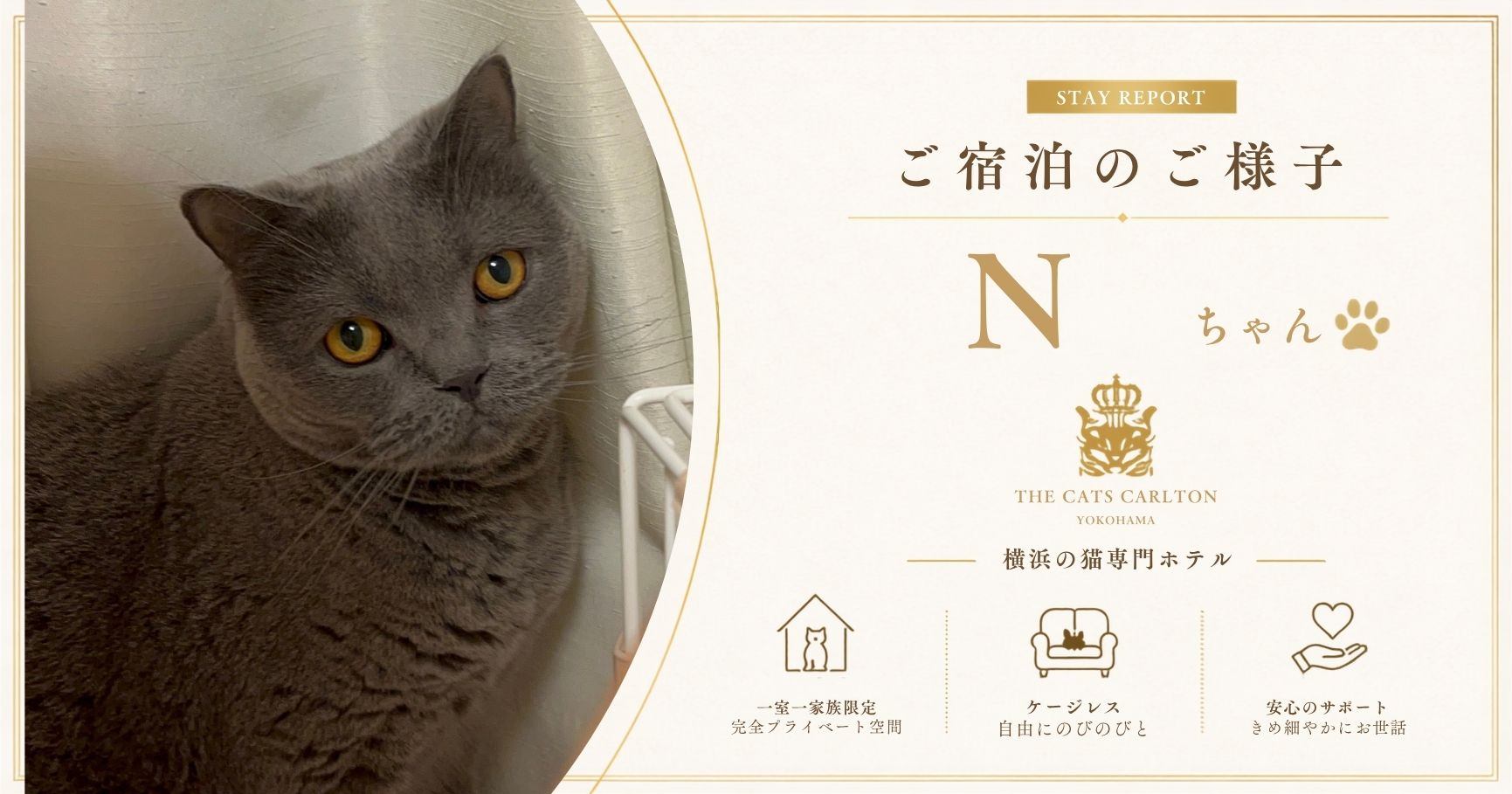 キャッツカールトン横浜に宿泊したGちゃんのご滞在中の様子